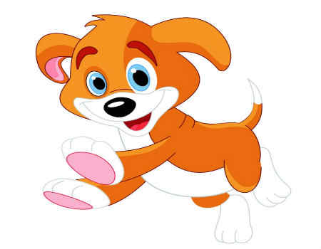 属狗男和什么属相最配