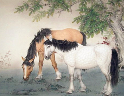 属马男和什么属相最配 属马男和什么属相最配