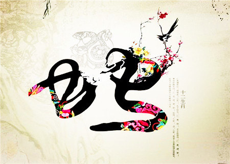 属蛇生于什么时辰财运好