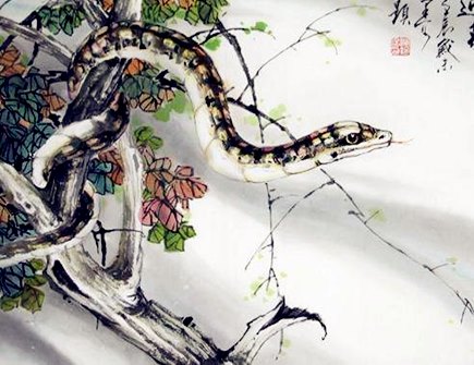 属蛇女人的性格特点及脾气