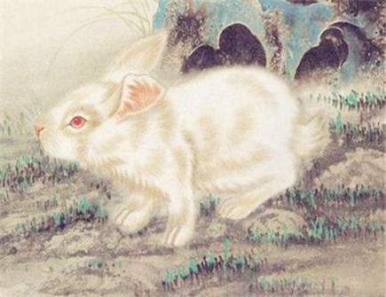 属兔女人的性格特点及脾气 属兔女人的性格特点及脾气