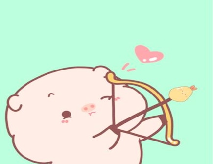 属猪和什么属相合财