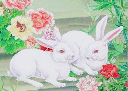 属兔女的和什么属相最配