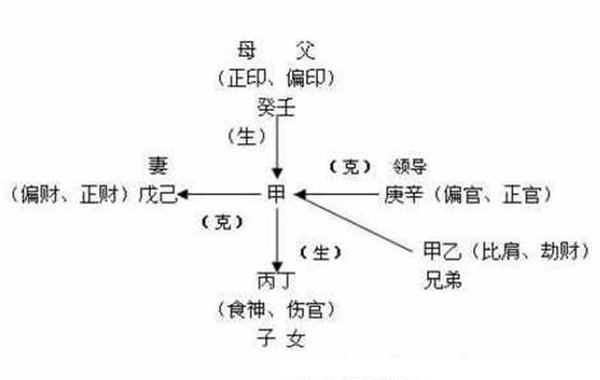 八字入门基础十神作用关系(10) 八字入门基础十神作用关系(10)