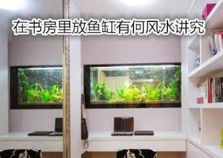 在书房里放鱼缸有何风水讲究