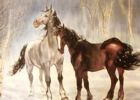 属马的家里挂什么画好 属马的家里挂什么画好