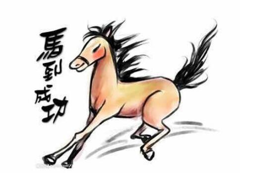 属马的人命好不好