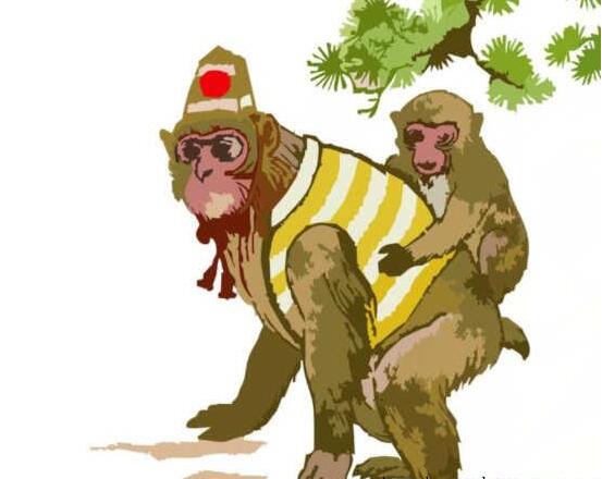 属猴人命运怎么样 属猴人命运怎么样