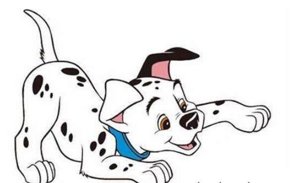 属狗的人命好不好