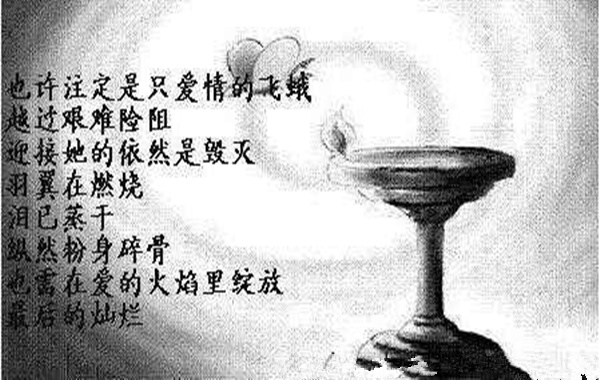 为爱情飞蛾扑火的女命 为爱情飞蛾扑火的女命