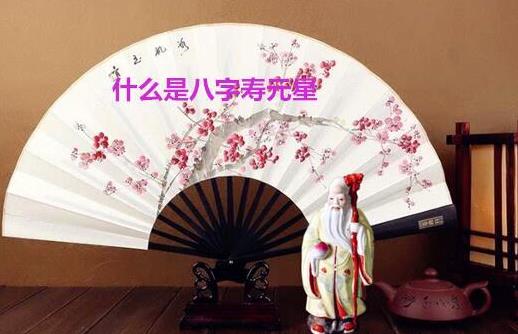 什么是八字寿元星 什么是八字寿元星