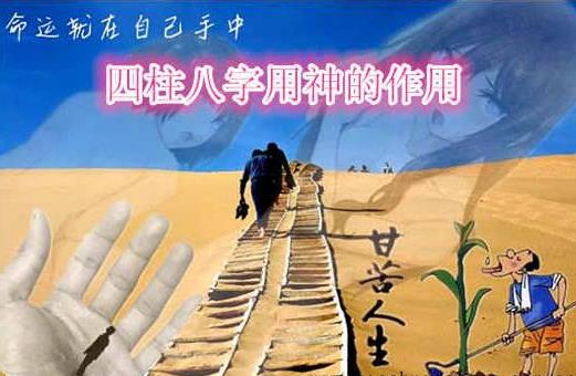 八字中用神的作用 八字中用神的作用