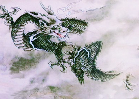 属龙办公室放什么植物旺财 属龙办公室放什么植物旺财