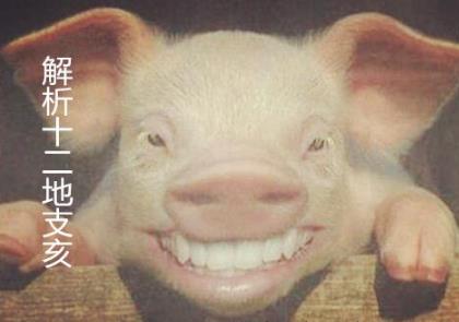 解析十二地支亥 解析十二地支亥