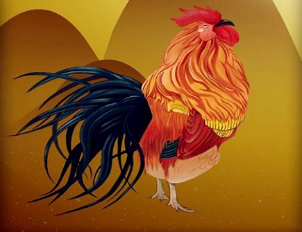 生肖鸡不能配什么生肖