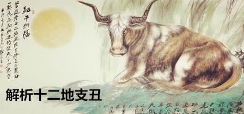 解析十二地支丑 解析十二地支丑