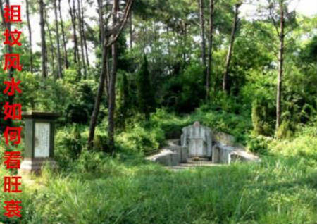 祖坟风水如何看旺衰