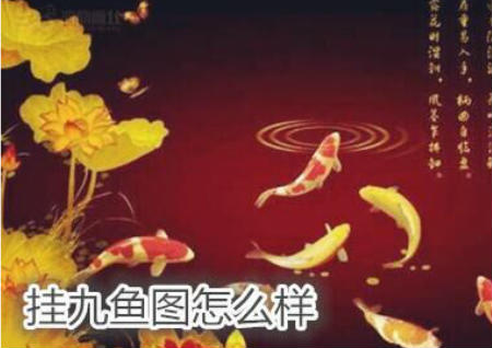 挂九鱼图怎么样 挂九鱼图怎么样