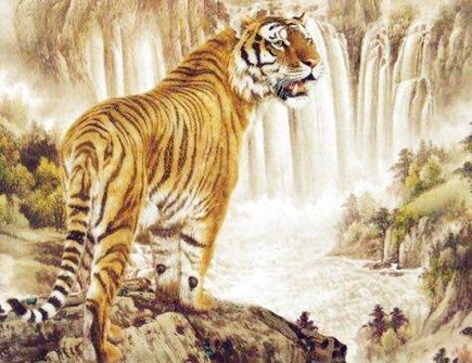 属虎今年健康运如何