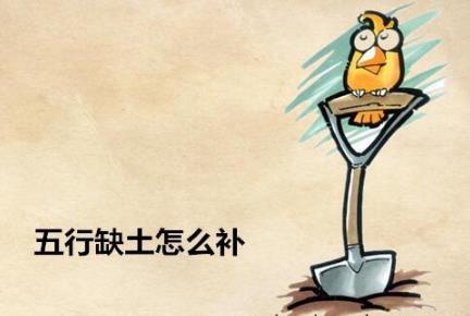 五行缺土怎么补