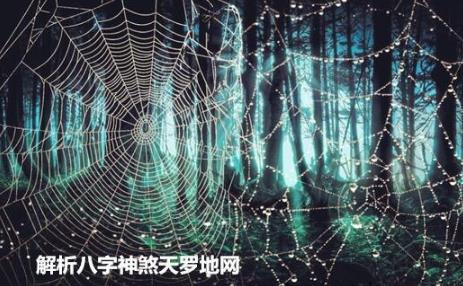 解析八字神煞天罗地网