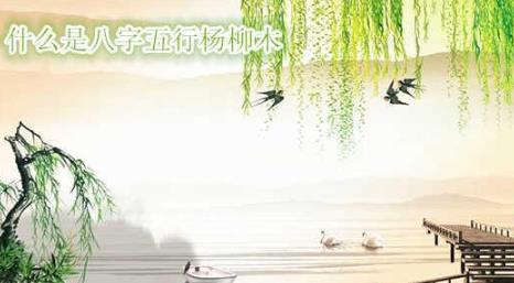 解析八字纳音五行杨柳木 解析八字纳音五行杨柳木