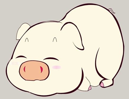 属猪人一生的健康状况