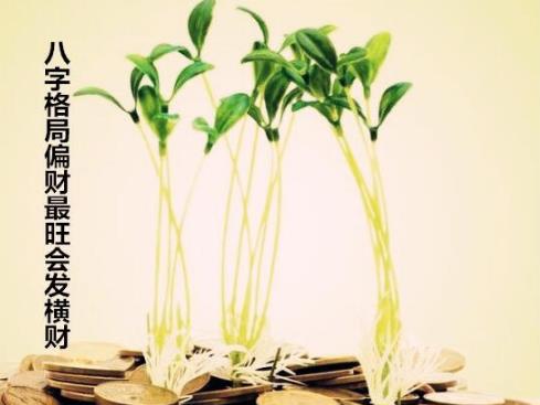 八字格局偏财最旺会发横财 八字格局偏财最旺会发横财