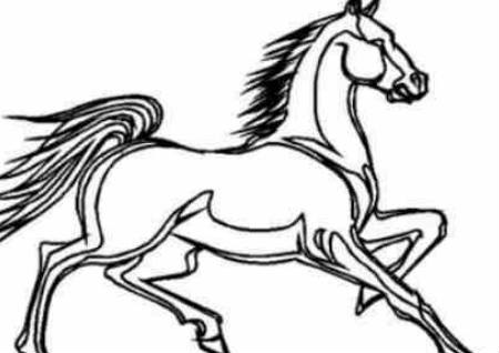 属马人的住宅风水知识