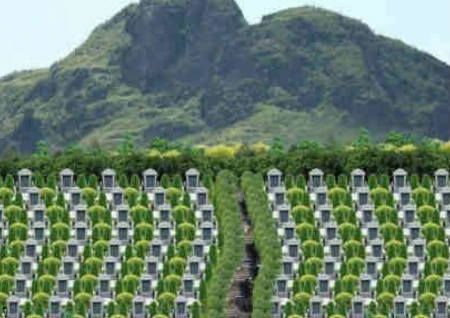 墓地风水与骨灰盒摆放知识