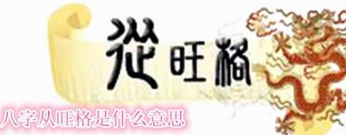 八字从旺格是什么意思 八字从旺格是什么意思