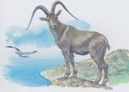 属羊男孩最吉利的名字 属羊男孩最吉利的名字