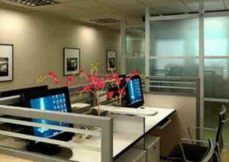 属狗的办公室风水 属狗的办公室风水