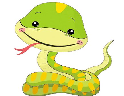 属蛇人本命年需要注意什么