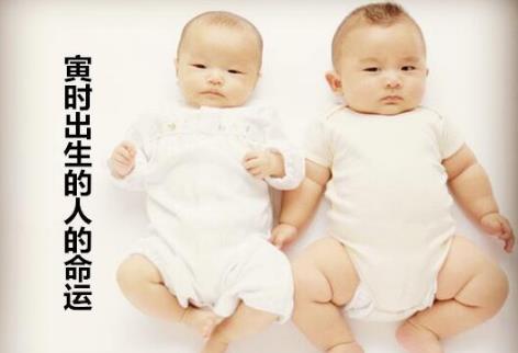 寅时出生的人的命运 寅时出生的人的命运