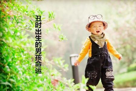 丑时出生的男孩命运 丑时出生的男孩命运