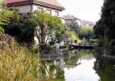 挨着河边房子风水好吗 挨着河边房子风水好吗