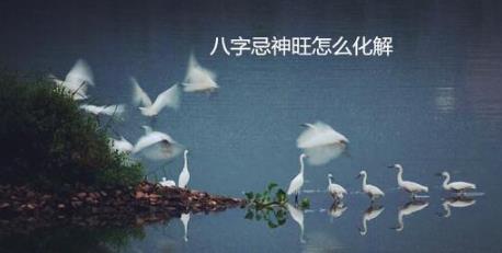 八字忌神旺怎么化解 八字忌神旺怎么化解