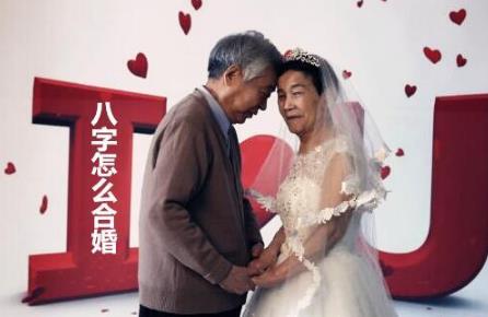 八字怎么合婚 八字怎么合婚