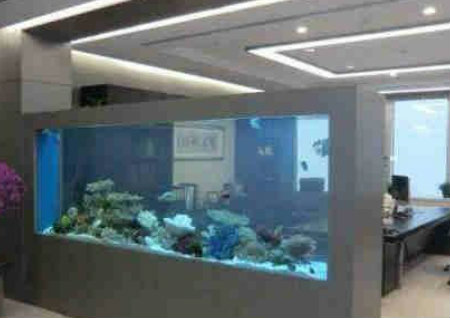 办公室最佳风水布局 办公室最佳风水布局