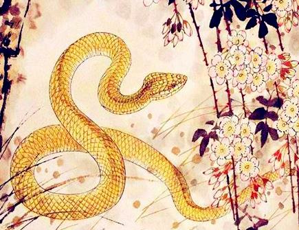 属蛇穿什么颜色衣服好