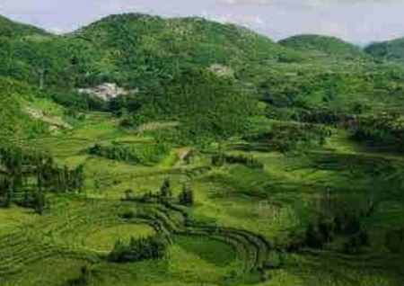 祖坟风水对女儿的影响 祖坟风水对女儿的影响