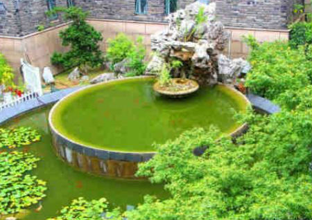 庭院风水禁忌二十二条 庭院风水禁忌二十二条