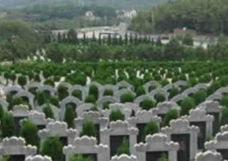 为什么不能提前买墓地 为什么不能提前买墓地