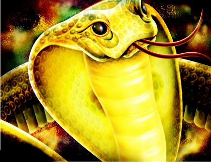 属蛇戴什么饰品旺财 属蛇戴什么饰品旺财