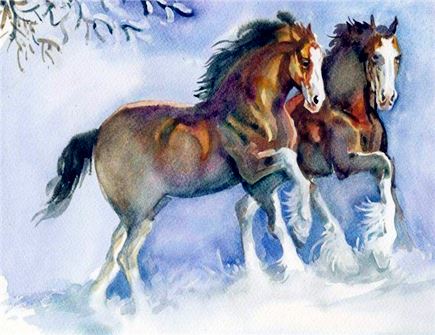 属马戴什么饰品旺财 属马戴什么饰品旺财