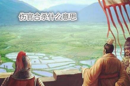 伤官合杀什么意思 伤官合杀什么意思