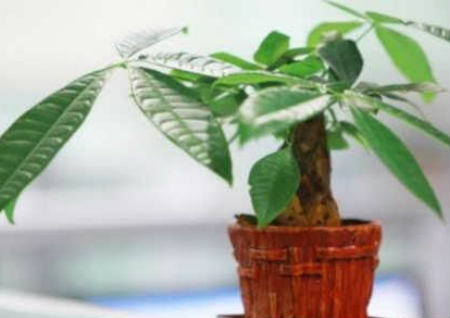 自己转运最灵的99种方法