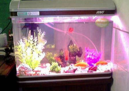 店铺招财风水摆设 店铺招财风水摆设