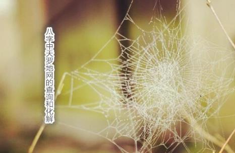八字中天罗地网的查询和化解 八字中天罗地网的查询和化解